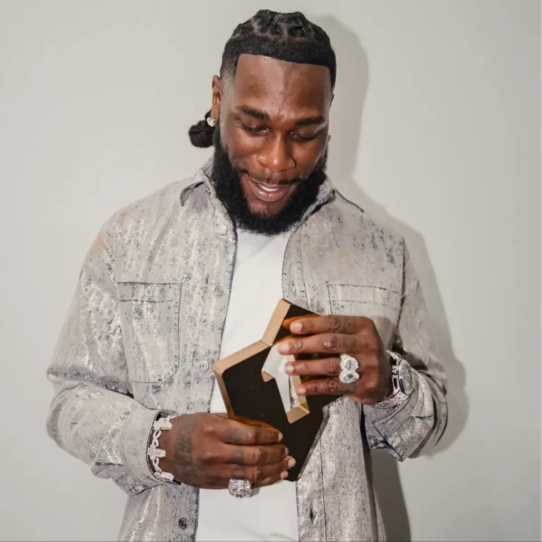 ENTERTAINMENTBurna Boy sets record for highest-grossing tour by African artiste